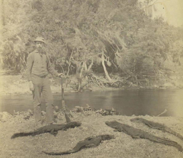 1880 Florida Alligator Hunter Lever Action Rifle