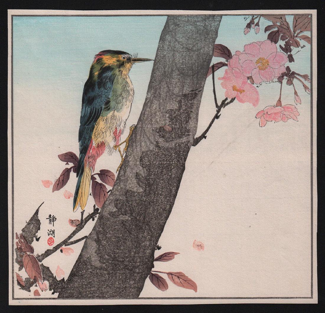 Seiko Woodblock Wood-Pecker: Artist: Seiko. Subject: Wood-pecker Date: 1890-1900 Medium: Japanese Woodblock Print Size: Measures 9.75” x 10”. Please note that this lot has a confidential reserve. When you leave a bid in advan