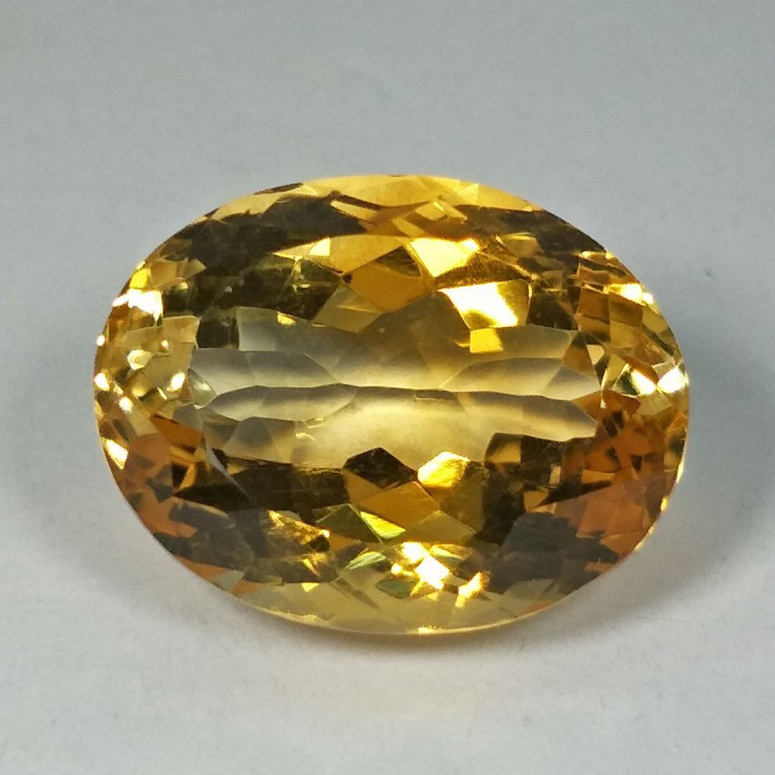 13.80 Carat Loose Citrine (1 of 4)