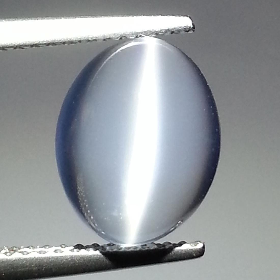 5.56 Carat Loose Cat's Eye Moonstone (1 of 4)