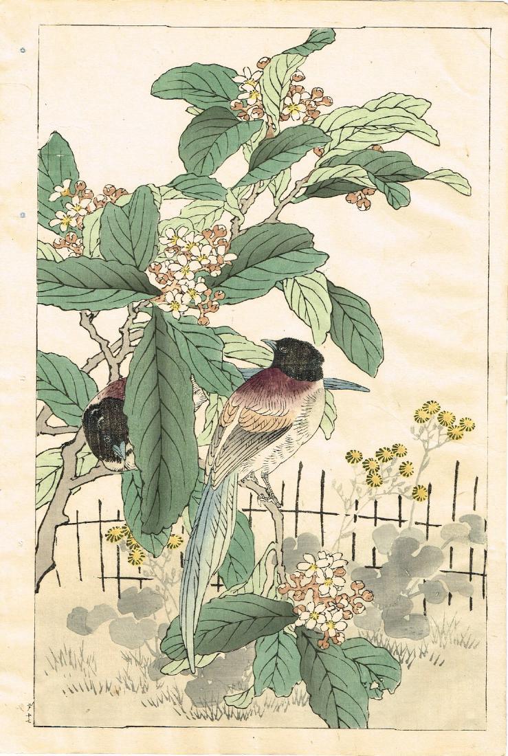 Kono Bairei Woodblock Birds and Flowers (1 of 1)