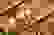 item-56820368=7