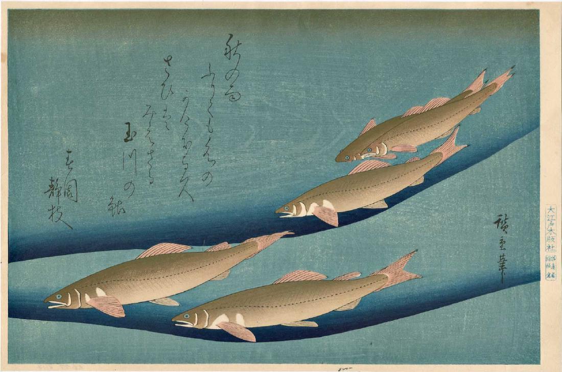 Ando Hiroshige Woodblock Trout: Artist: Hiroshige Ando Title: Ayu (Trout) Publisher: Not read Date: Showa era printing from recarved woodblocks Medium: Japanese Woodblock Print Size: 16 x 10.5 inches Shipping: Domestic: Flat-rate of
