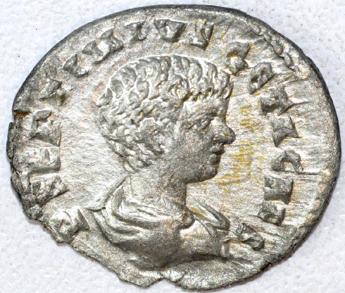 Ancient Roman Denarius of Geta (1 of 2)