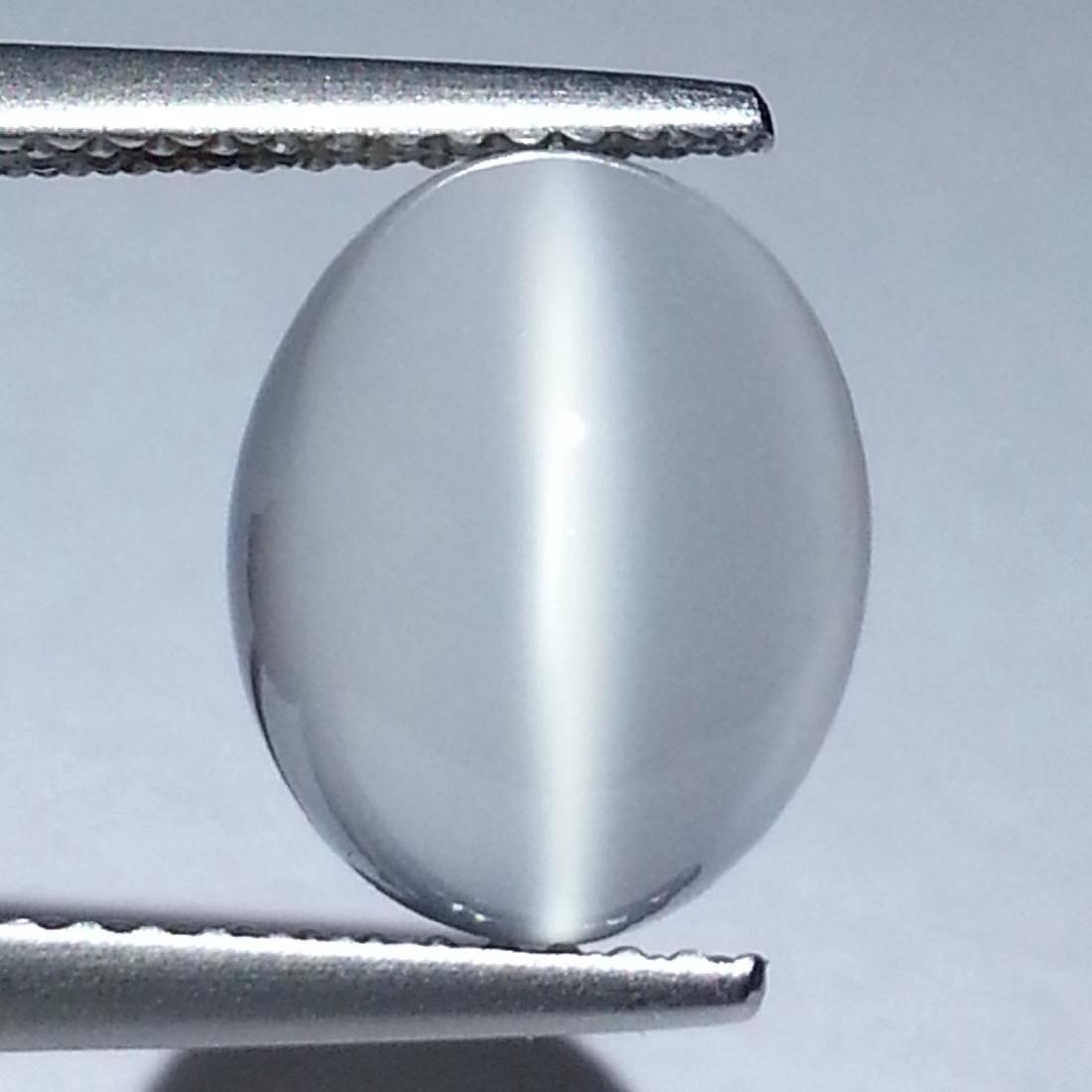 5.48 Carat Loose Cat's Eye Moonstone (1 of 4)