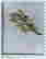 item-57200167=6