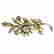 item-57200170=1