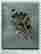 item-57200178=4
