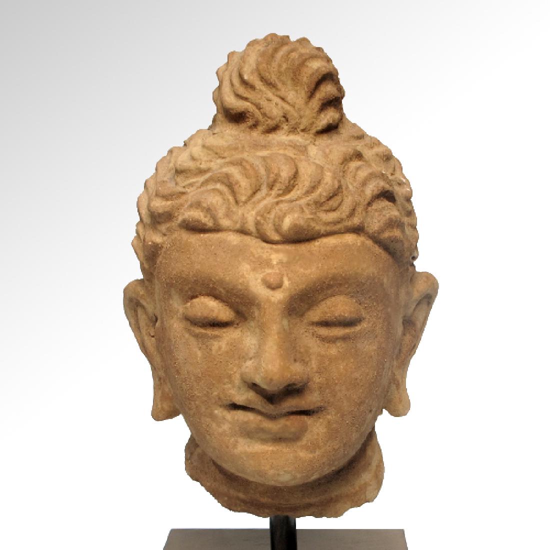 Painted Stucco Buddha Head, Gandhara, c. 2nd - 3rd (1 of 6)
