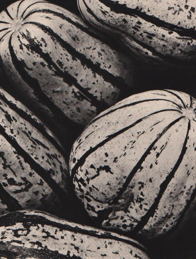 EDWARD WESTON - Gourds: Artist: EDWARD WESTON Print Title: Gourds Medium: Sheet-Fed Gravure Printing Date: 1935 Printed in France Image Size: 6.75" X 8.5" Edward Weston was a 20th-century American photographer. He has been c