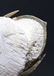 Flying fossil trilobite : Spinodontochile spinifera - 7