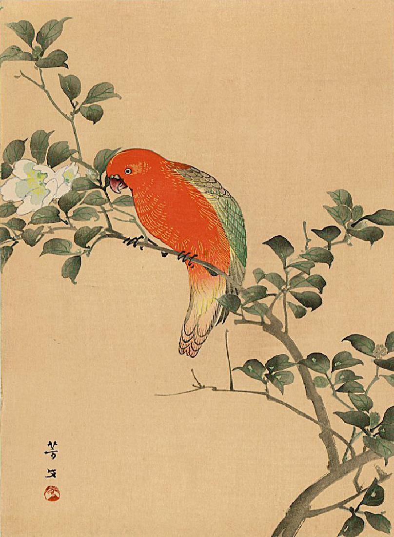 Hobun Kikuchi Woodblock Orange Parrot: Artist: Hobun Kikuchi Title: Orange Parrot Publisher: Shima Art Co. Date: c. 1930s Medium: Japanese Woodblock Print Size: 7.4 x 10.25 inches Provenance: from the Robert O. Muller estate. Shipping: Dom