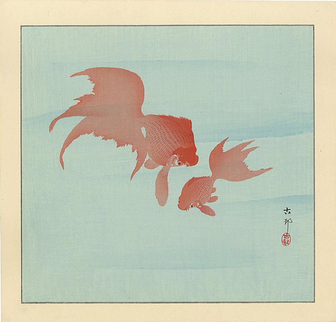 Ohara Koson Woodblock Goldfish: Artist: Koson Ohara Title: Goldfish Publisher: Sakai and Kawaguchi Date: 1930s Medium: Japanese Woodblock Print Size: 11 x 11.25 Provenance: from the Robert O. Muller estate. Ohara Koson (1877-1945) w