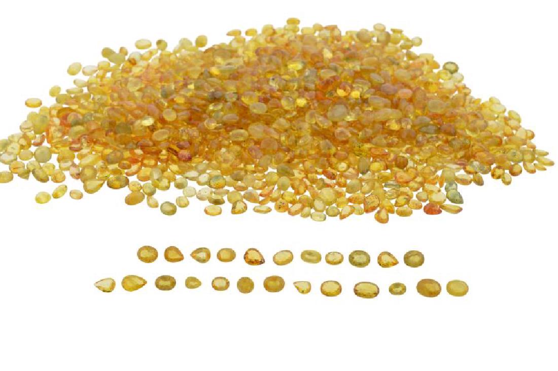 50 Carat Lot of Loose Yellow Sapphires (1 of 7)