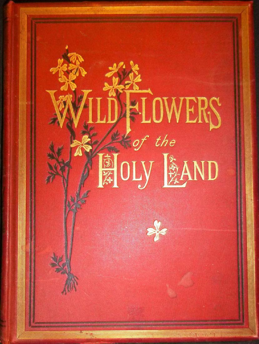 Wildflowers of the Holyland: Wildflowers of the Holyland Hannah Zeller 1876, Nisbett & Co. London 1st Edition Herbarium, illustration Hanna Zeller was born in Beuggen, Switzerland, daughter of Bishop Samuel Gobat of Jerusalem who