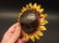 Cast Iron Folk Art Sunflower Bottle Opener - 2