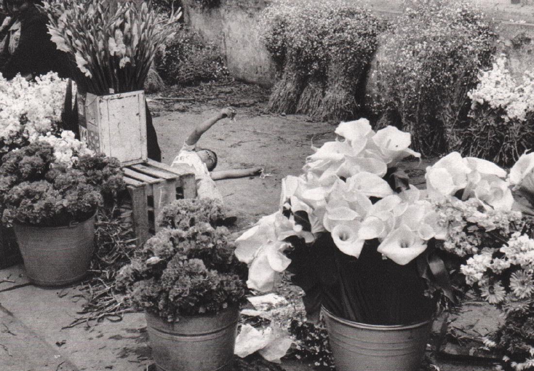 EDOUARD BOUBAT - Cut Flowers Mexico 1978: Artist: EDOUARD BOUBAT Print Title: Cut Flowers Mexico 1978 Medium: Sheet-Fed Gravure Printing Date: 1979 Printed in: France Image Size: 6.5 x 4.5 inches Edouard Boubat (1923-1999) was a French photoj