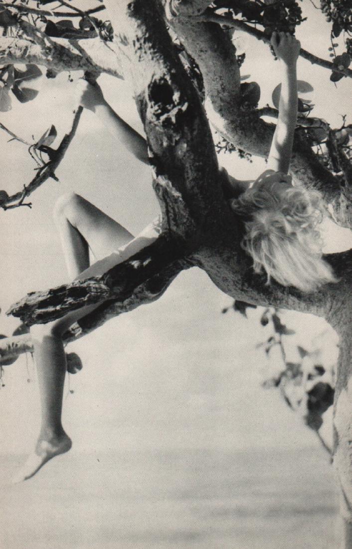 NELL DORR - In a Tree, Florida Keys: Artist: NELL DORR Print Title: In a Tree, Florida Keys Medium: Sheet-fed gravure Printing Date: 1939 Printing Location: USA Image Size: 5.5 x 8.5 inches Nell Dorr was an American photographer born in