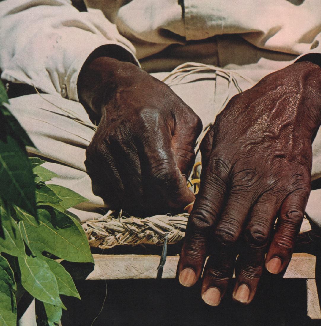 FRITZ HENLE - Hands of Moses: Artist: FRITZ HENLE Print Title: Hands of Moses Medium: Color Sheet-fed Gravure Printing Date: 1971 Printing Location: Switzerland Image Size: 10.5 x 10.5 inches Fritz Henle was a German-born photogra
