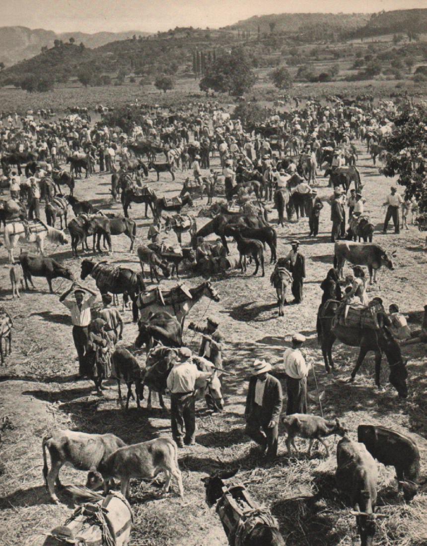 DAVID SEYMOUR - Market Place in Epirus: Artist: DAVID SEYMOUR Print Title: Market Place in Epirus Medium: Sheet-fed Gravure Printing Date: 1958 Printed: France Image Size: 6 X 7.5 inches David Seymour (1911-1956) or Chim (pronounced shim, a