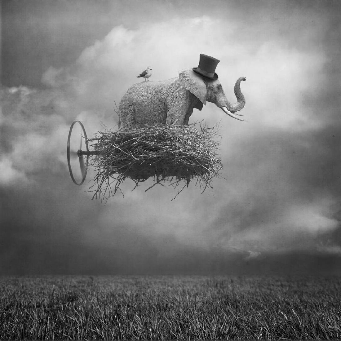 Beata Bieniak Chromogenic Print Flying Circus (1 of 7)