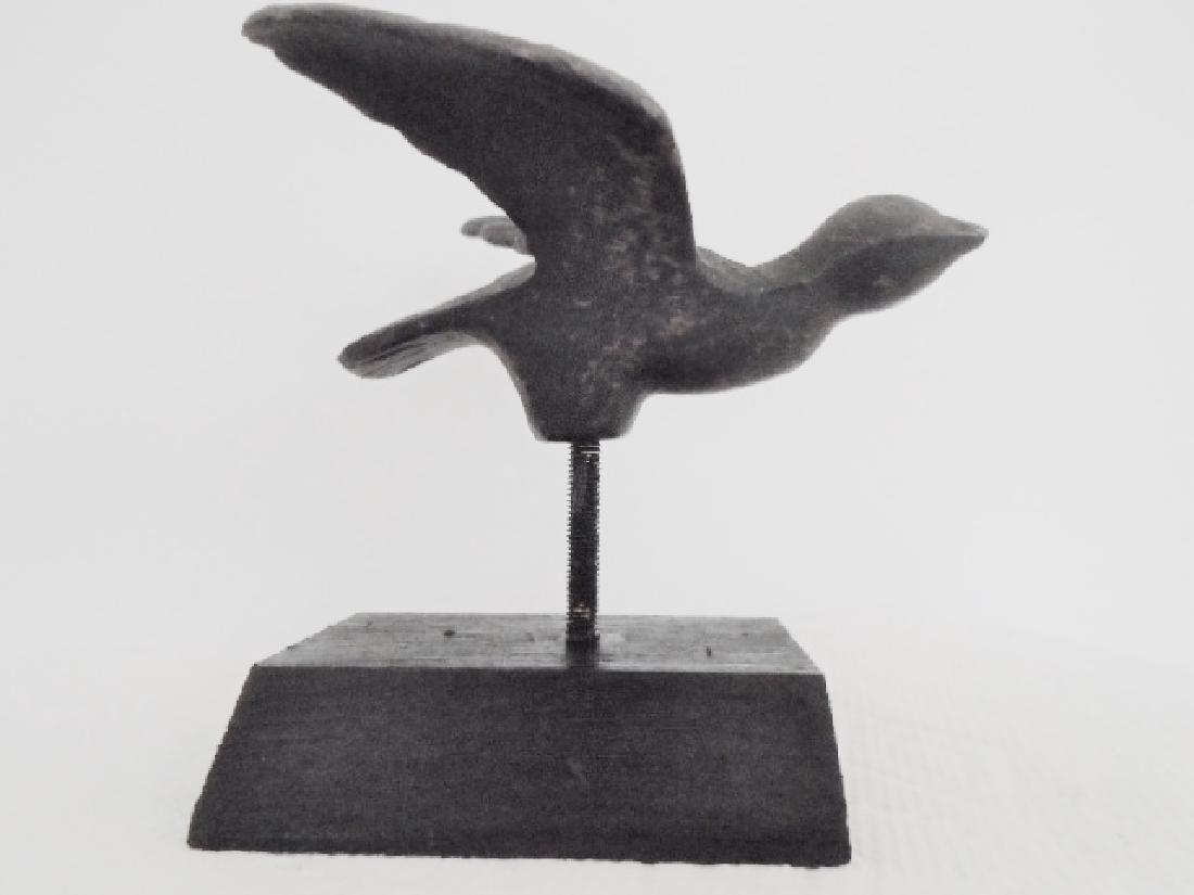 Iron Flying Little Bird (1 of 4)