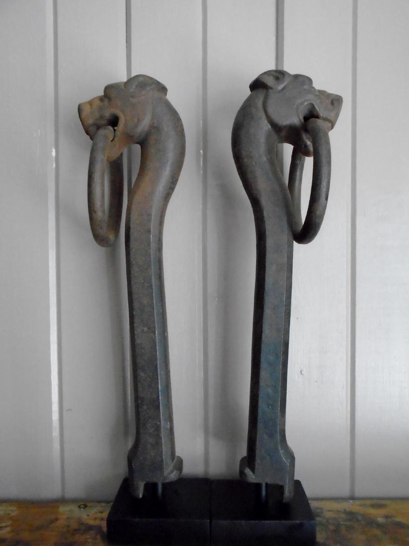 Unusual Pair of Dogs With Rings (1 of 5)