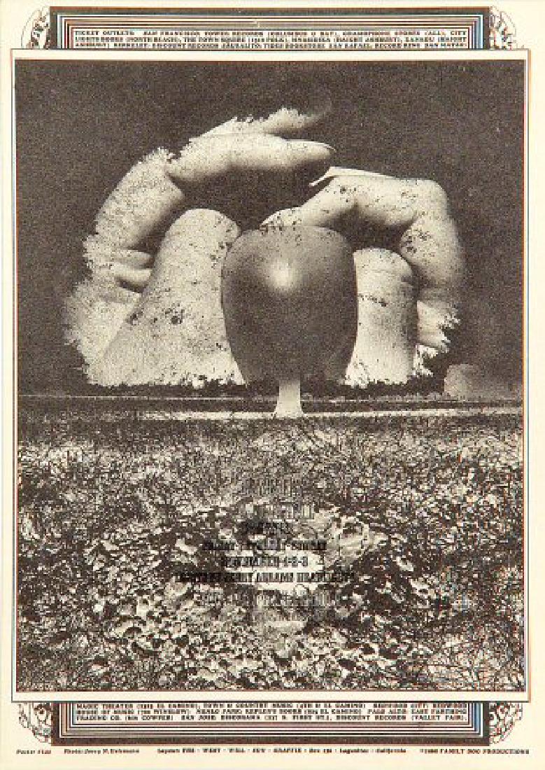 The Byrds Postcard  - FD144 (1 of 1)