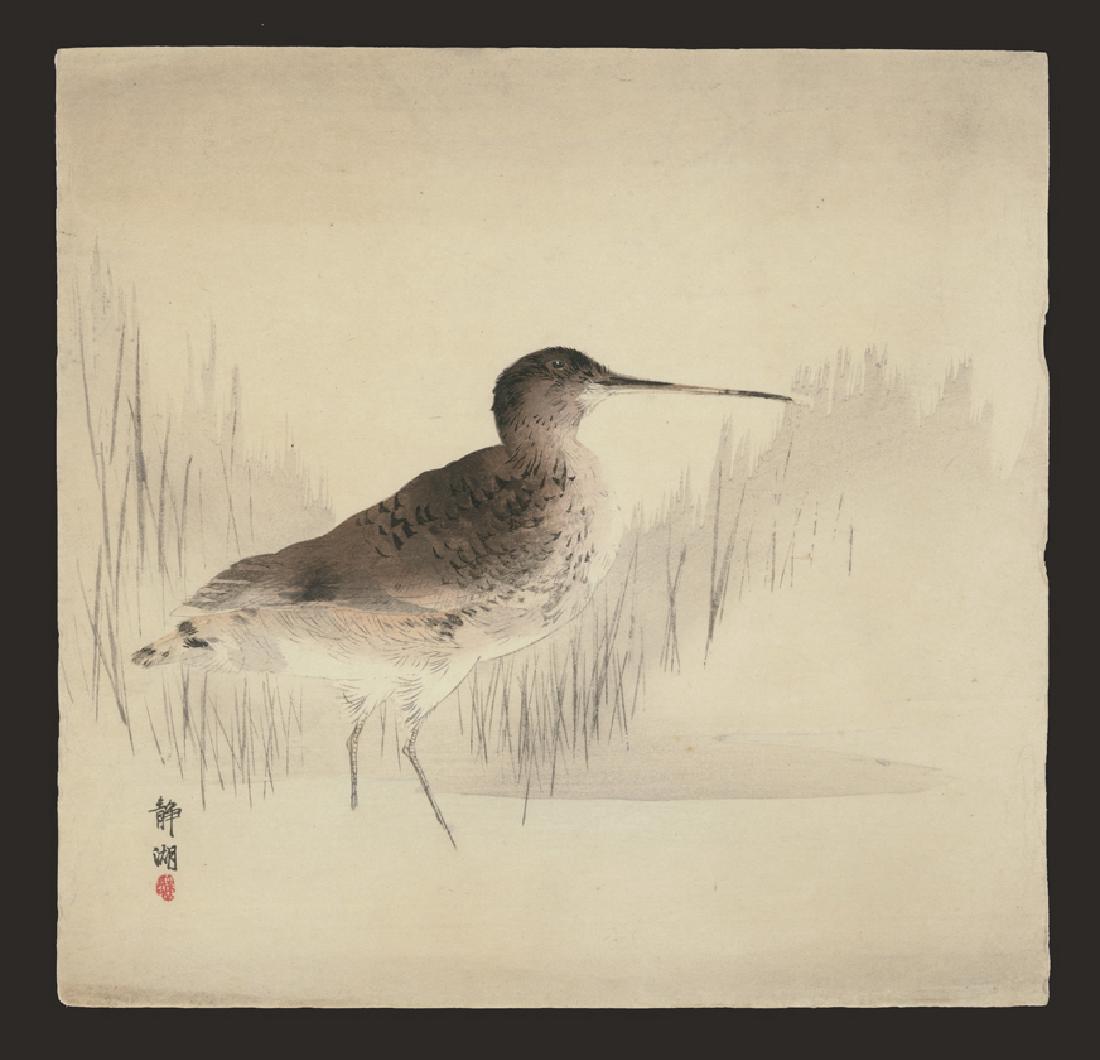 Okuahra Seiko Woodblock Sandpiper: Artist: Okuahra Seiko Title: Sandpiper Medium: Woodblock Size: 9 1/2 x 9 7/8 inches Seiko Okuhara (1837-1918) was a female Japanese painter during the 19th century, born into the samurai class. Like m