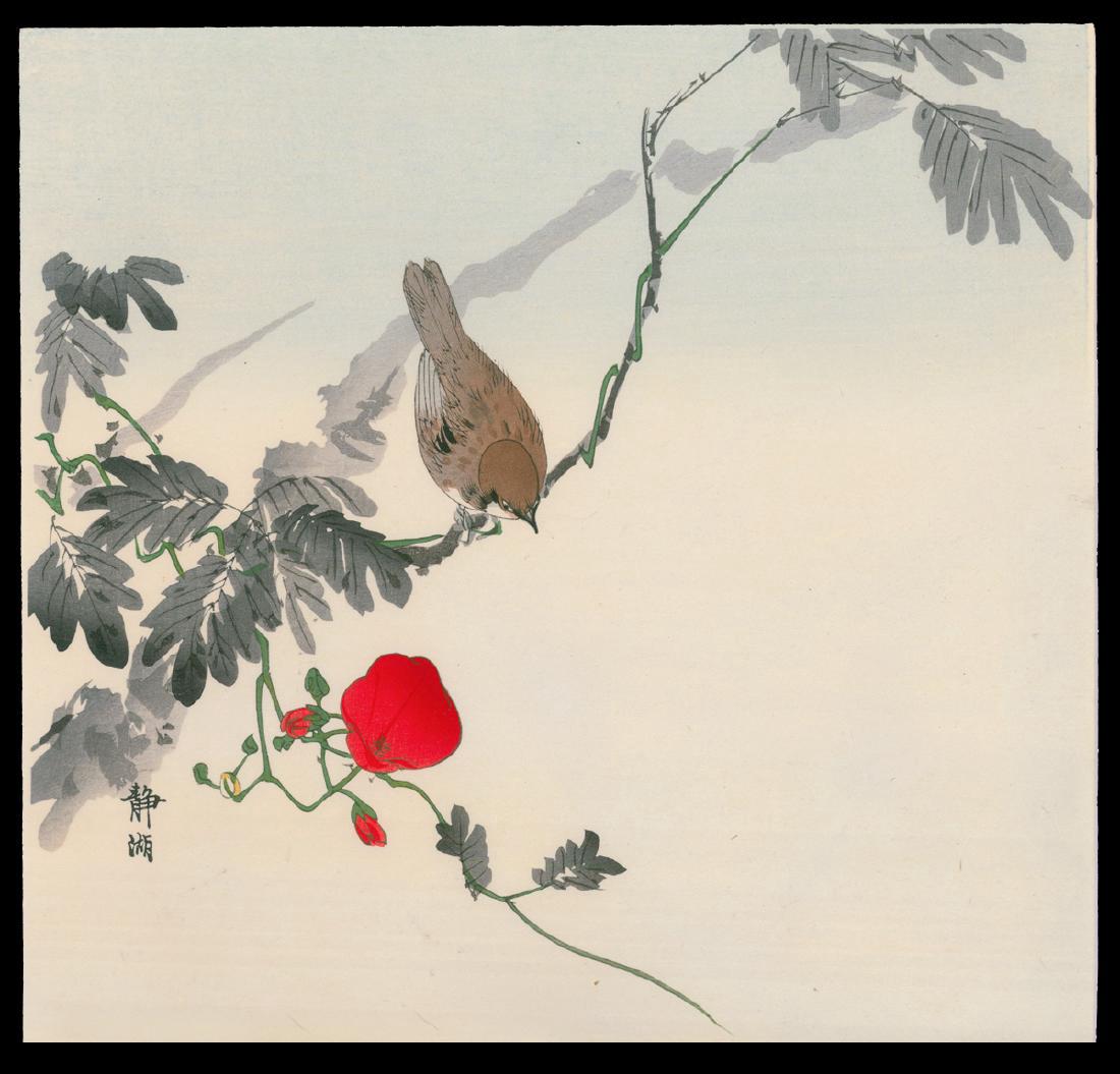 Okuhara Seiko Woodblock Sparrow and Morning Glory: Artist: Okuhara Seiko Title: Sparrow and Morning Glory Medium: Woodblock Size: image size 10 1/2 x 15 1/2 inches Seiko Okuhara (1837-1918) was a female Japanese painter during the 19th century, born i