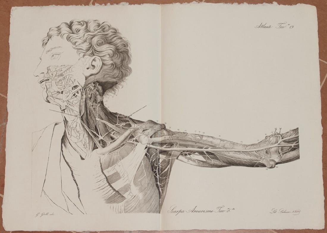 Antonio Scarpa Medicine Lithograph Anatomy 1839 (1 of 4)