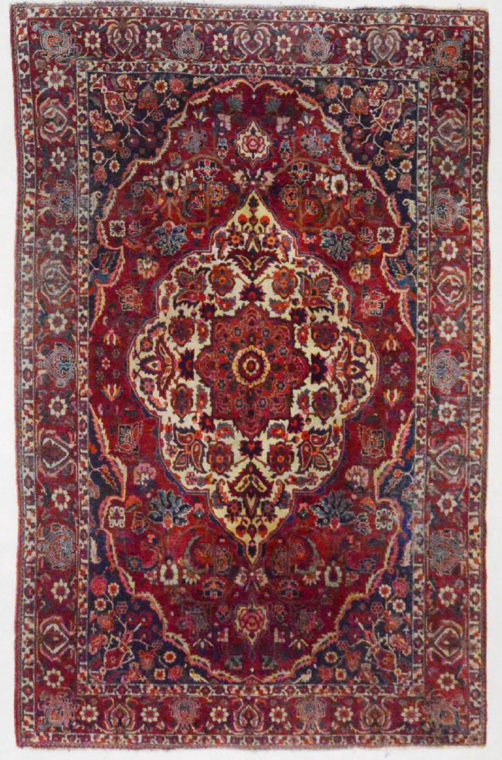 Persian Rug Bakhtiar 10.5x6.9 (1 of 10)
