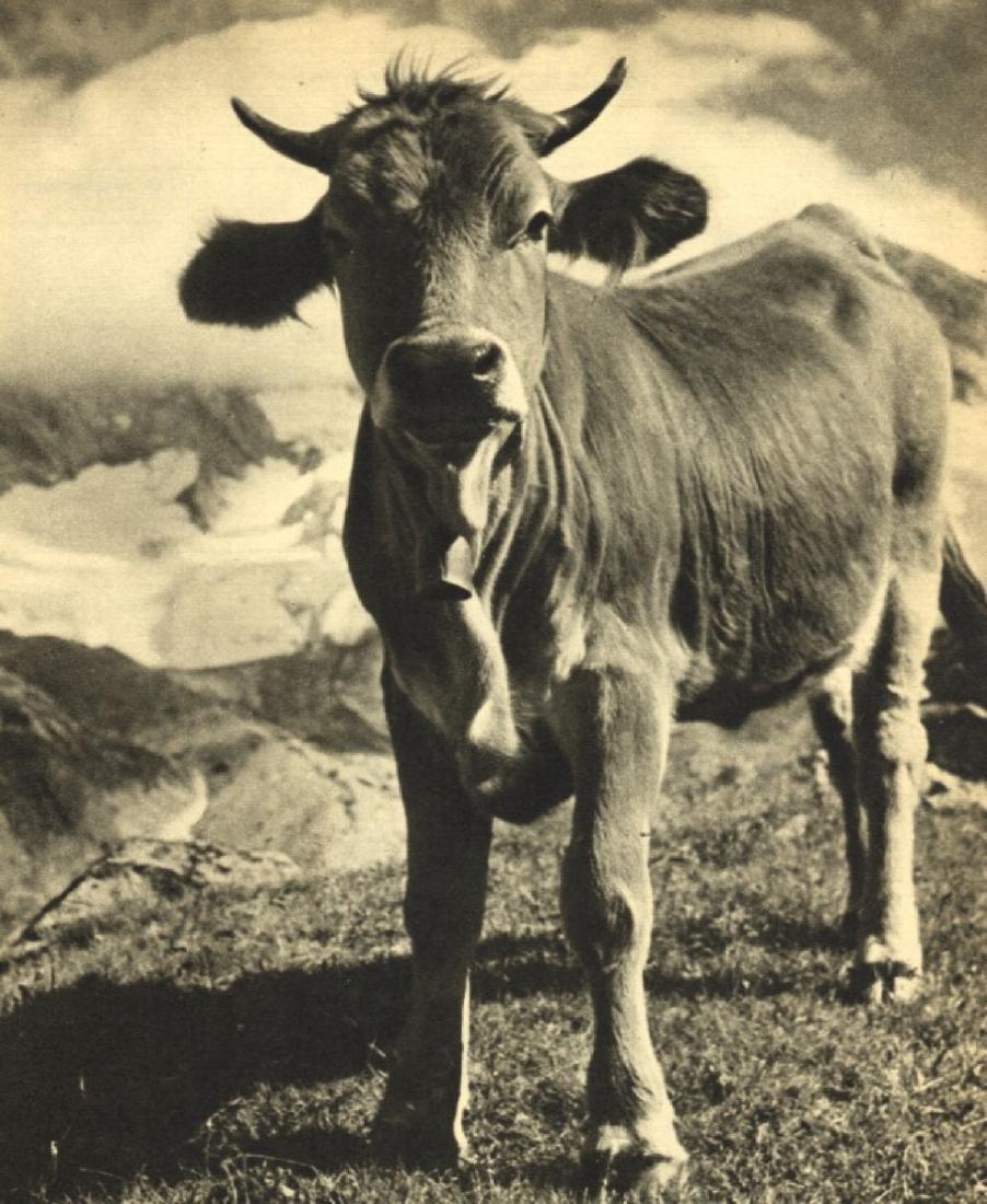 BRASSAI - Surprise: Artist: BRASSAI Print Title: Surprise Medium: Sheet-fed Gravure Printing Date: 1940 Printed: Great Britain Image size approx. 6.75 X 8.25 inches Brassai was a Hungarian–French photographer, sculptor