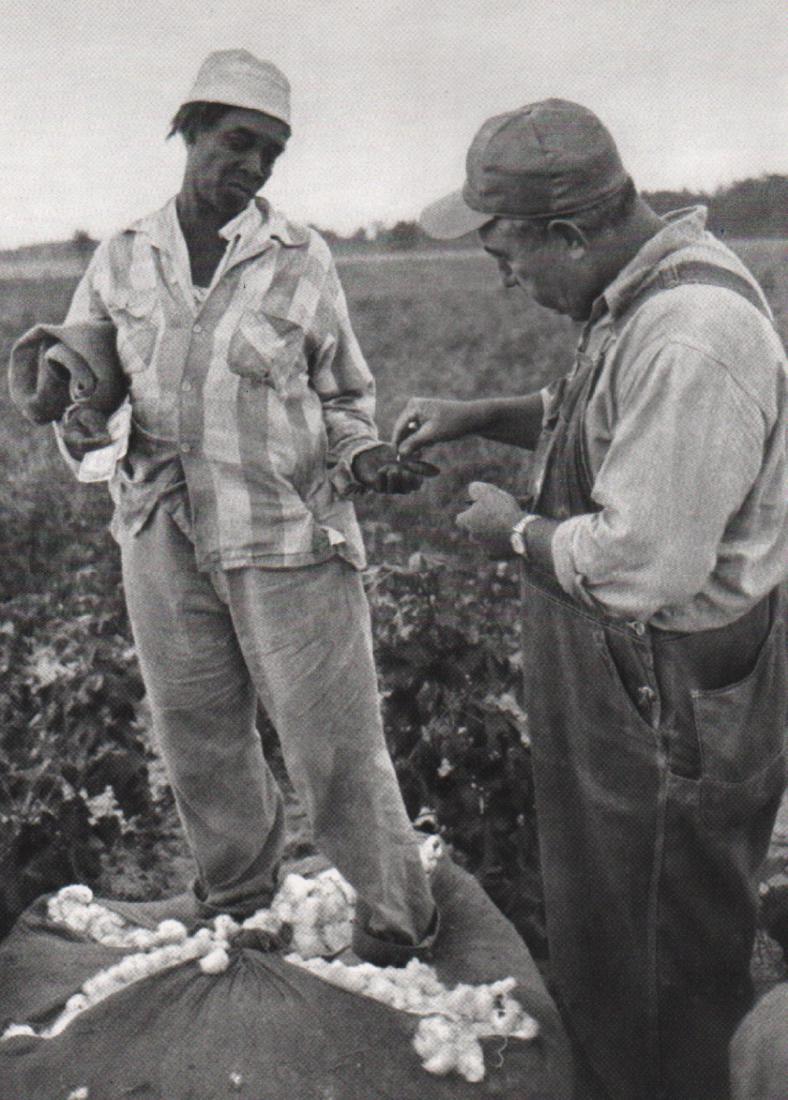 BRUCE DAVIDSON - Cotton Fields, South Carolina 1962: Artist: BRUCE DAVIDSON Print Title: Cotton Fields, South Carolina 1962 Medium: Sheet-fed Gravure Printing Date: 1972 Printing Location: France Image Size: 6 x 8.25 inches Bruce Davidsonis an American