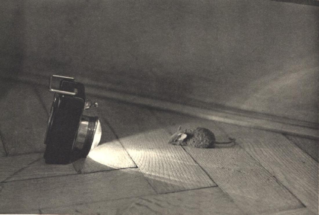 DR. MILOS KOSSLER - Mouse: Artist: DR. MILOS KOSSLER Print Title: Mouse Medium: Sheet-fed Gravure Printing Date: 1931 Printed in Czechoslovakia Image Size: 6.75 X 4.75 inches No Reserve: This lot starts at $1 and has no reserve