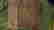item-58150627=4