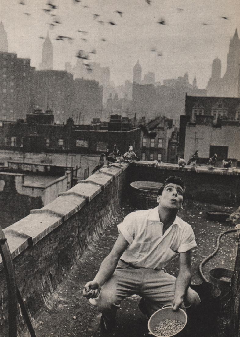 BRUCE DAVIDSON - Pigeon: Artist: BRUCE DAVIDSON Print Title: Pigeon Medium: Sheet-fed Gravure Printing Date: 1960 Printing Location: Japan Image Size: 7 x 9.5 inches Bruce Davidsonis an American photographer. He has been a me