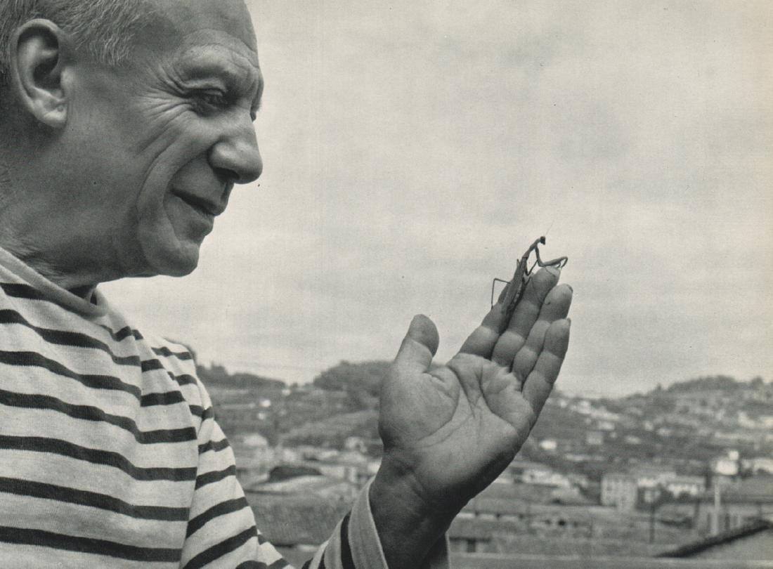 ROBERT DOISNEAU - Picasso with Praying Mantis: Artist: ROBERT DOISNEAU Print Title: Picasso with Praying Mantis Medium: Sheet-fed Gravure Printing Date: 1952 Printing Location: France Image Size: 9 x 7 inches Robert Doisneau (1912-1994) was a Fren