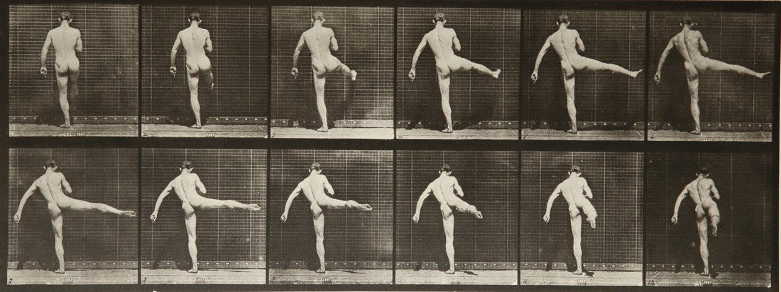 EADWEARD MUYBRIDGE - Animal Locomotion Plate 369: Artist: Eadweard Muybridge Title: Animal Locomotion Plate 369 Date Printed: 1981 Medium: HelioGravure Printer: Electa Printer Location: Milan ITALY Size: 36.4x 13.9 cm - 14.3x 5.5 inch, With tissue gu