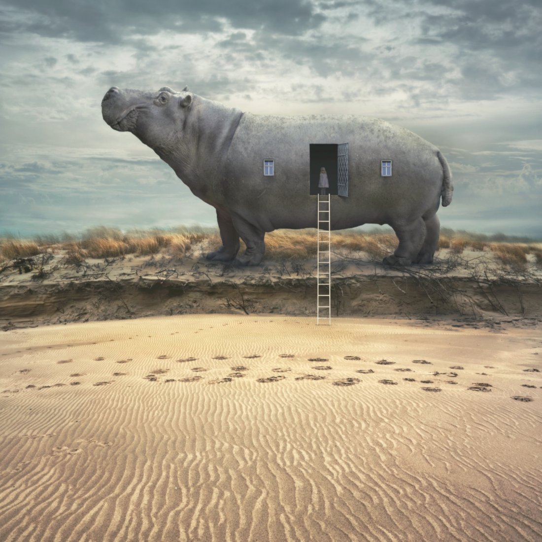 Dariusz Klimczak Print Hippohome: Dariusz Klimczak's beautifully constructed 'Hippohome' - a spacious, environmentally friendly mobile residence with a mind of its own. Artist - DARIUSZ KLIMCZAK Title - Hippohome Paper Size - 14" x 12