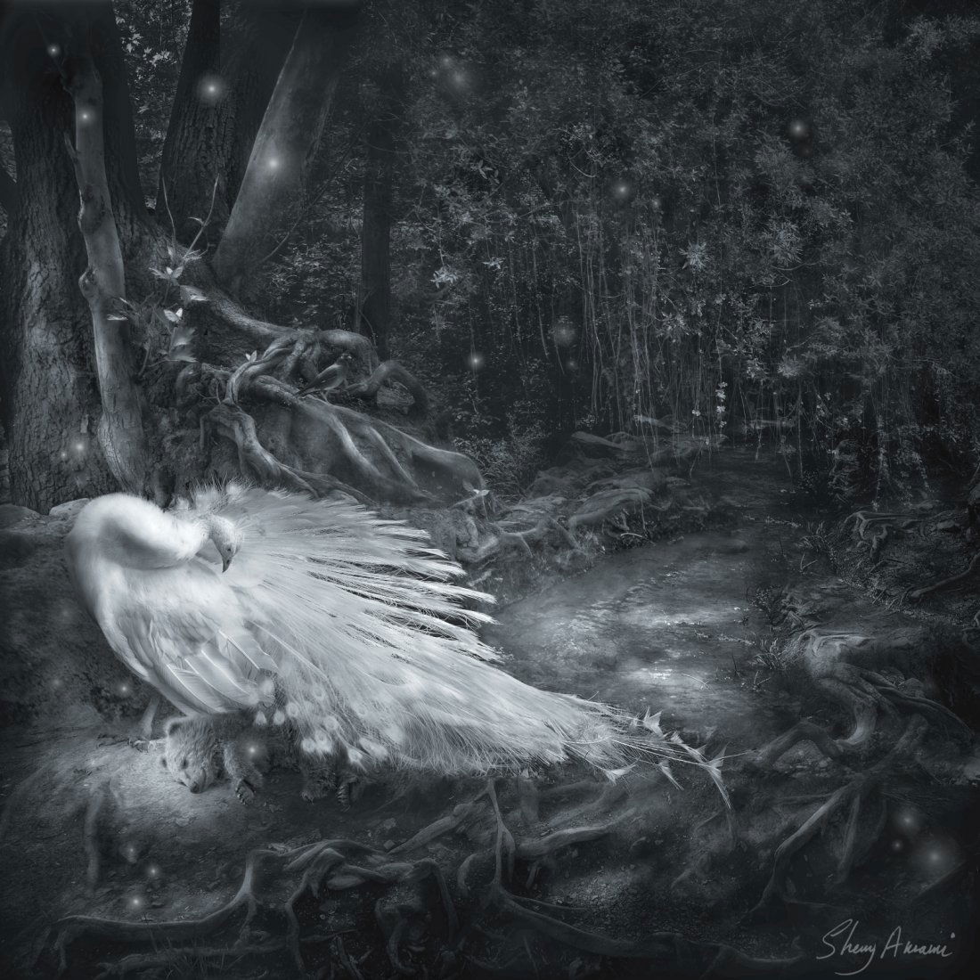 Sherry Akrami Print Sleeping Beauty (1 of 7)