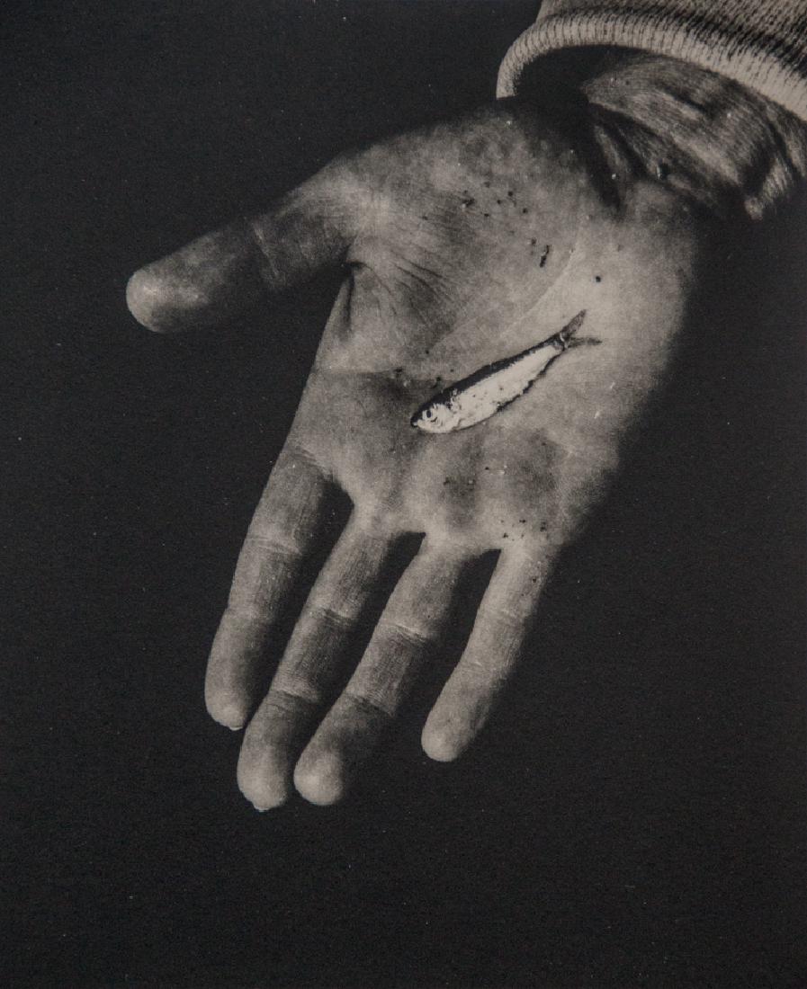 AARON SISKIND - Minnow In Hand, 1939: Artist: AARON SISKIND Title: Minnow In Hand, 1939 Medium: Sheet Fed Gravure, unknown print date Dimensions: 6x7.25" Mounted on 11x14" Conservation Quality Board With COA Aaron Siskind (1903 - 1991) wa