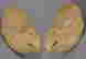 item-58628071=2