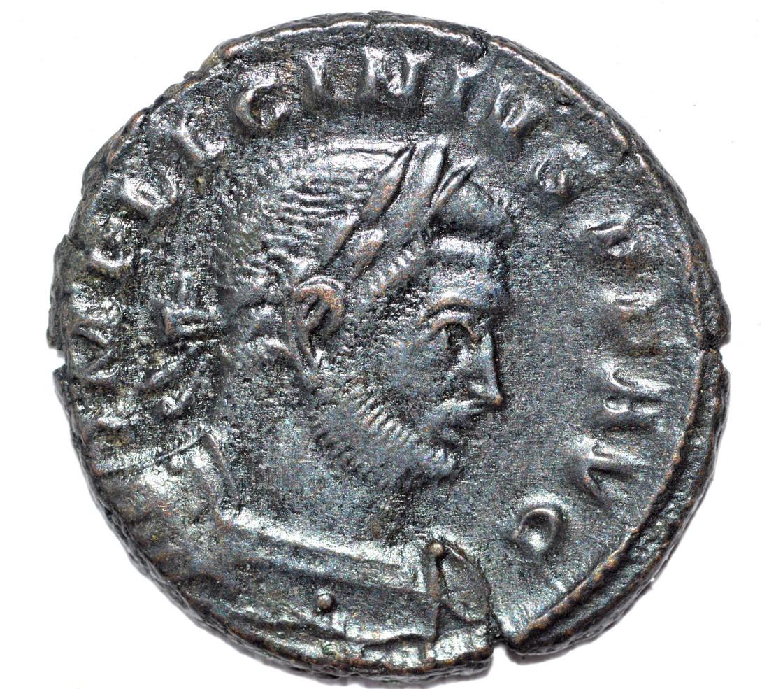 House of Constantine AE Follis, rv. Salus (1 of 2)