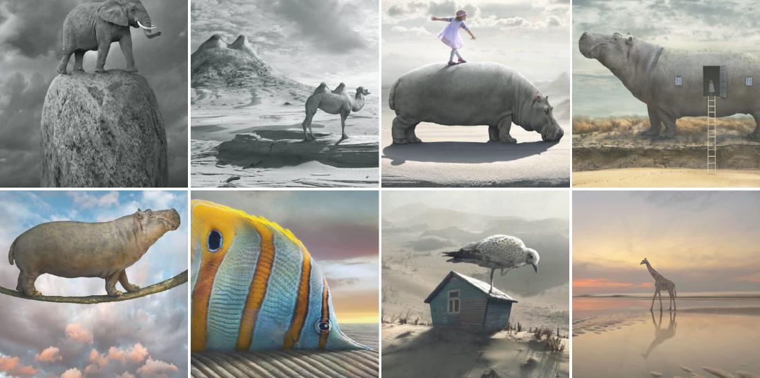 Dariusz Klimczak Print Animalia Folio: 21st Century Renaissance Man - Dariusz Klimczak (Polish b 1967) was a painter, a journalist and a rock drummer before settling on a career as a photographic artist creating captivating photo-montages 