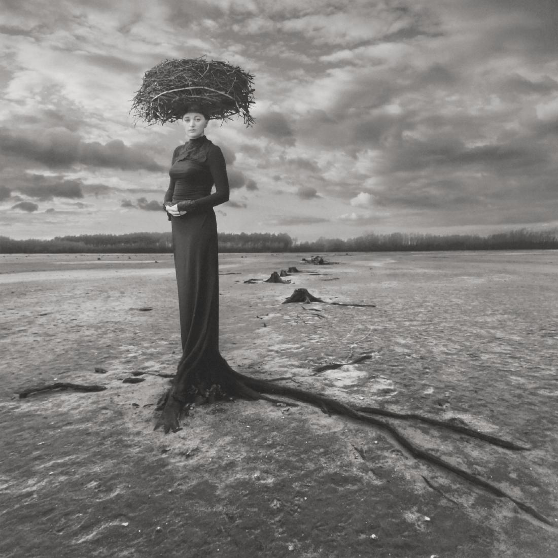 Dariusz Klimczak Print Empty Nest: 21st Century Renaissance Man - Dariusz Klimczak (Polish b 1967) was a painter, a journalist and a rock drummer before settling on a career as a photographic artist creating captivating photo-montages 