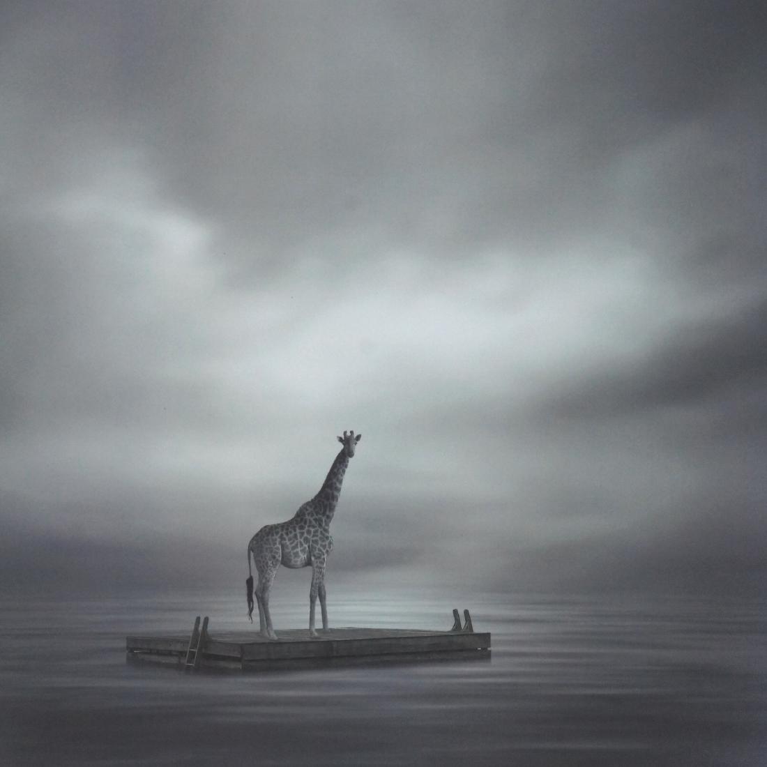 Philip Mckay Print Lost at Sea (1 of 7)