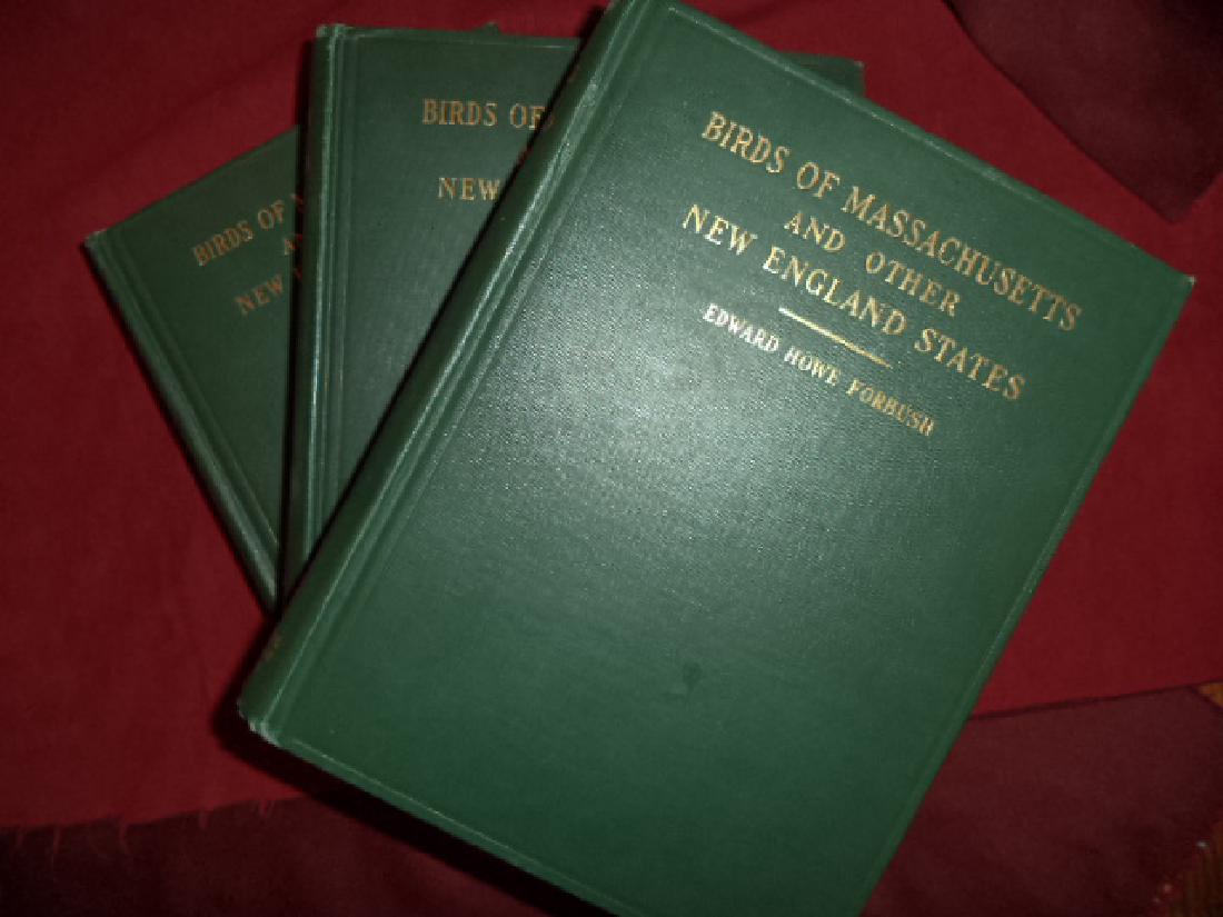 Birds of Massachusetts Other New England States 3 vols (1 of 1)