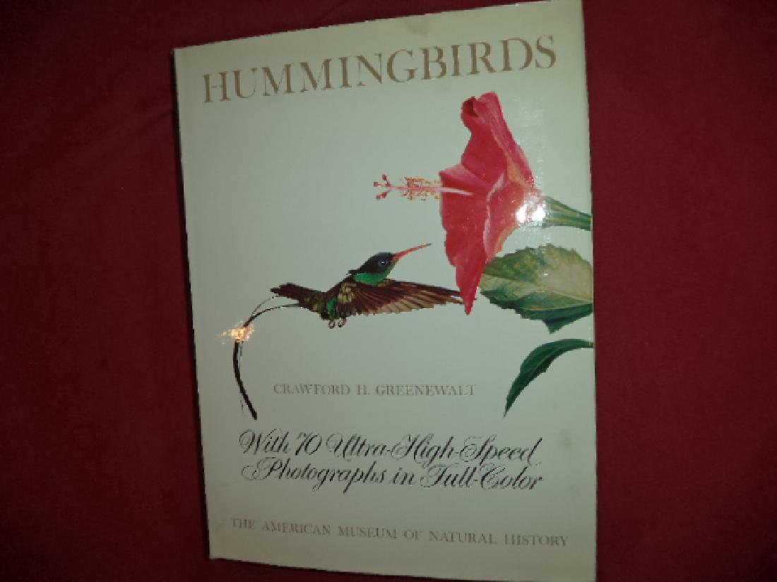 Hummingbirds. Greenwalt, Crawford H. (1 of 1)