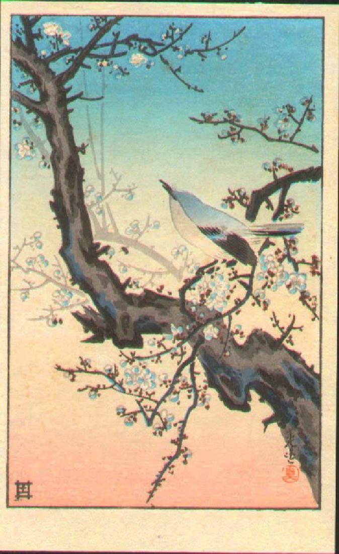 Tsuchiya Koitsu Woodblock Plum Warbler: Artist: Tsuchiya Koitsu Plum Warbler Date: 1940. Size: Approximately 6.00 x 3.75 inches. Doi Hangaten Reference: Koitsu catalog TK-DH-152. Medium: Japanese woodblock print. Condition: Some toning - mo